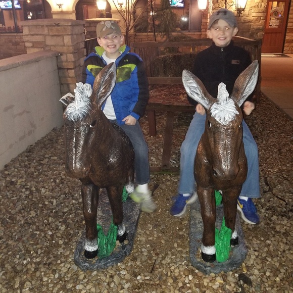 Meet your Posher, Hannah - Picture 4 of 4